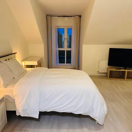 Homestay King With Ensuite In Dublin *