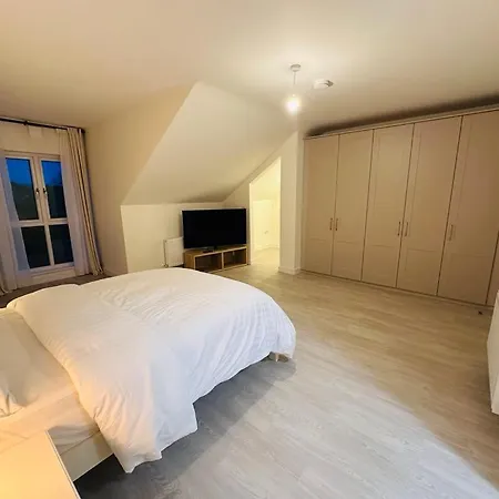 Homestay King With Ensuite In Dublin *