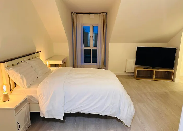 Pansiyon King With Ensuite In Dublin *